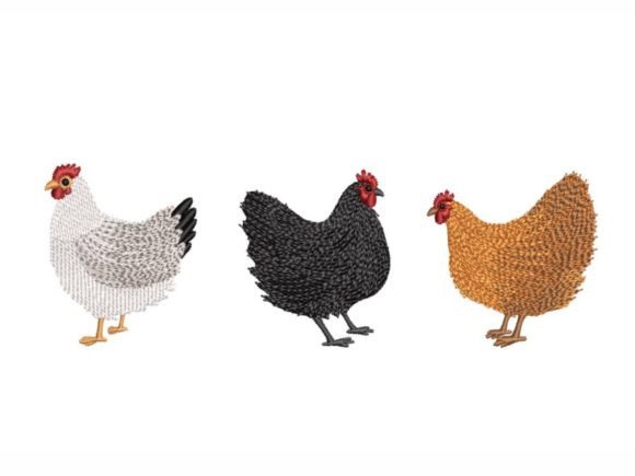 Three Chickens: A Practical Review for Farm-Themed Embroidery